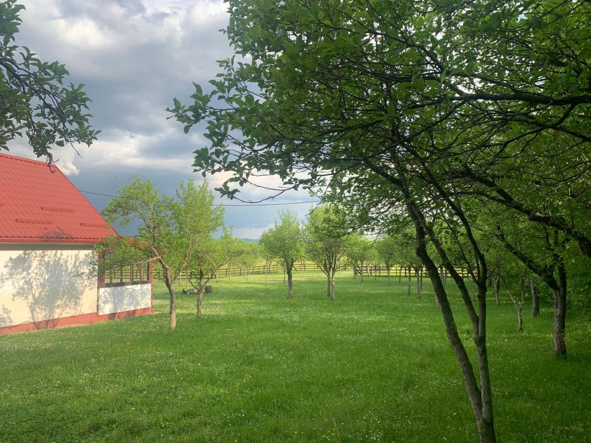La Prairie Villa Korenica Kültér fotó